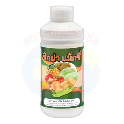 ซิกม่า แม็กซี่