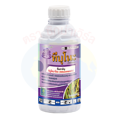 ทีบุโนะ