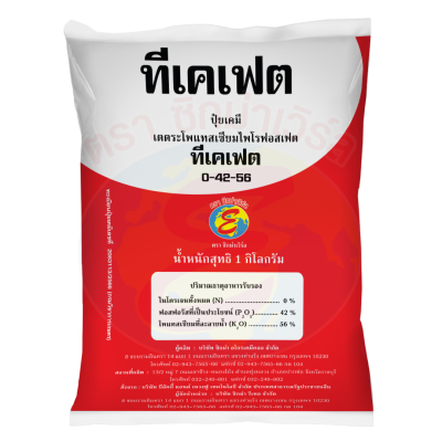 ทีเคเฟต 0-42-56