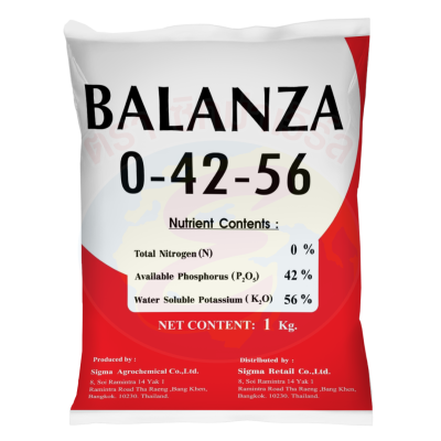 บาลานซ่า 0-42-56