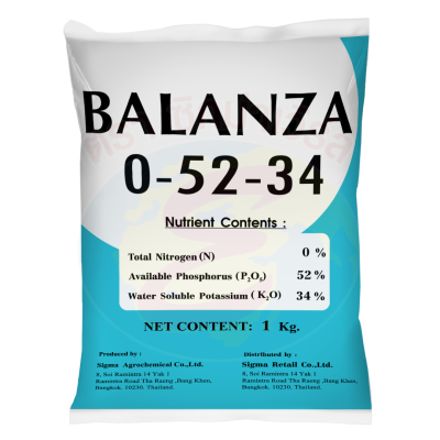 บาลานซ่า 0-52-34