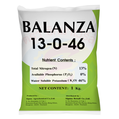 บาลานซ่า 13-0-46