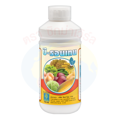 บี-รอนเทน