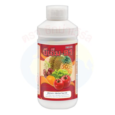 บีเอ็ม-91