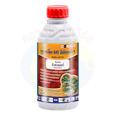 บูเฟล็ก 60 อีดับบลิว