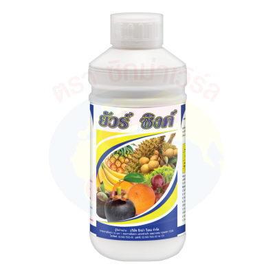 ยัวร์ ซิงค์