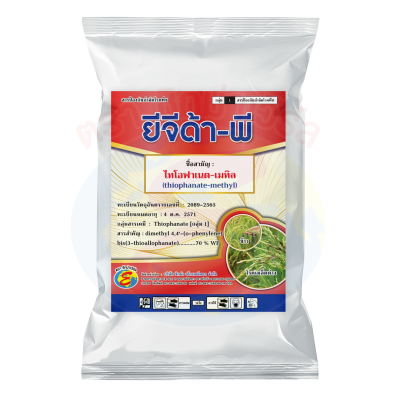 ยีจีด้า-พี