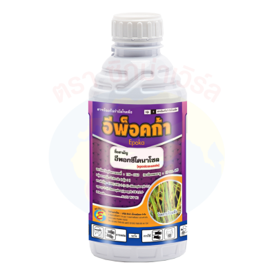 อีพ็อคก้า