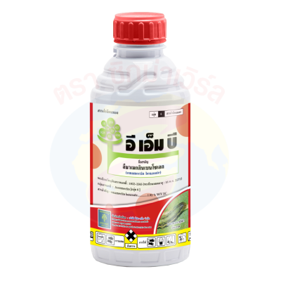 อี เอ็ม บี