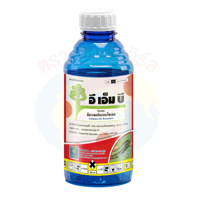 อี เอ็ม บี