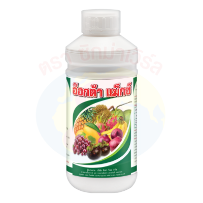 อ๊อกต้า แม็กซ์