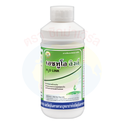 เอชทูโอ ลิงค์