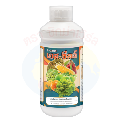 เอส-ชิลด์