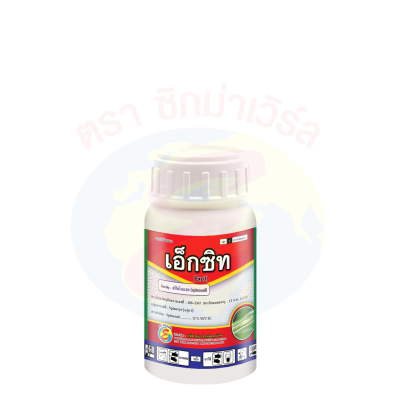 เอ็กซิท