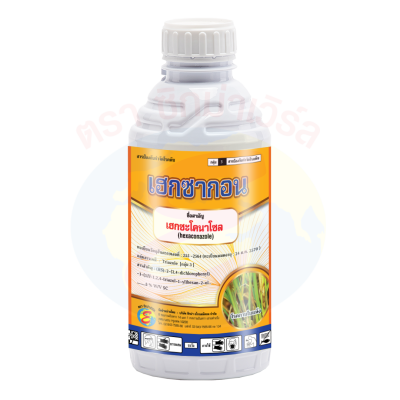 เฮกซากอน