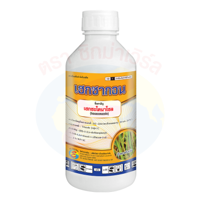 เฮกซากอน