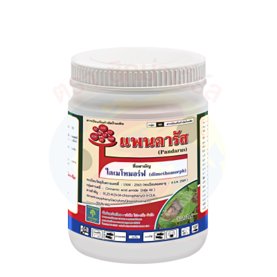 แพนดารัส