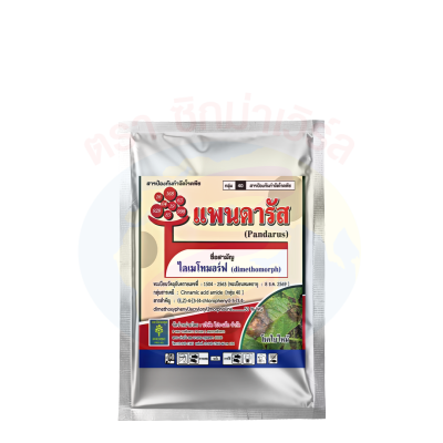 แพนดารัส