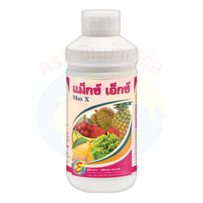 แม็กซ์ เอ็กซ์