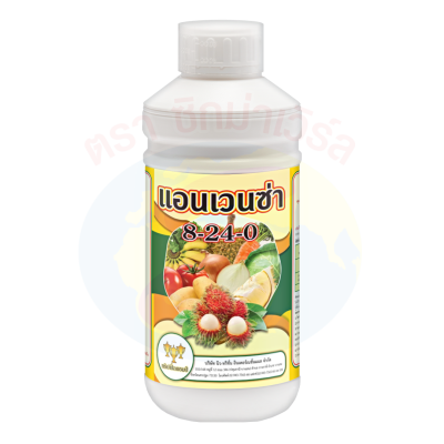 แอนเวนซ่า 8-24-0