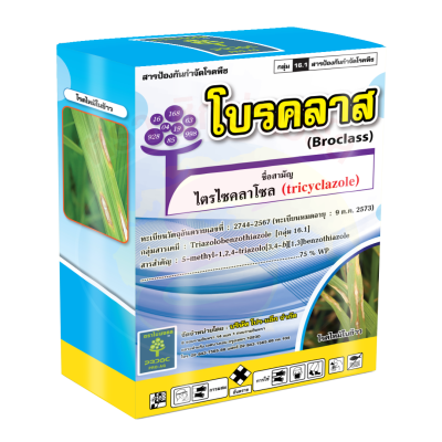 โบรคลาส