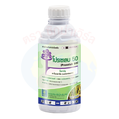 โปรเซเลบ 50