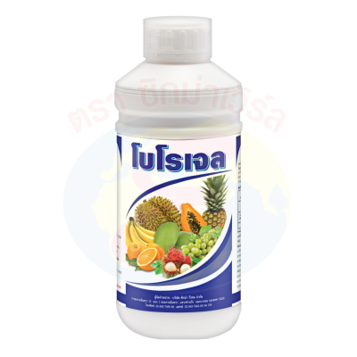 โบโรเจล