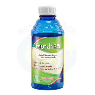 ไซยาม่า 35