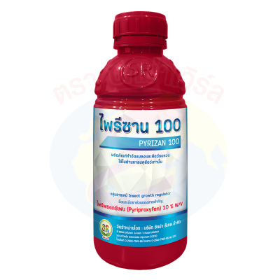 ไพรีซาน 100