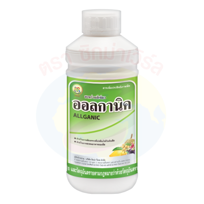 ออลกานิค