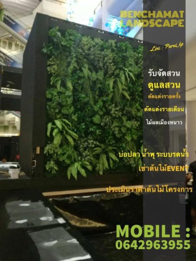 งานเช่าสวนแนวตั้ง เซ็นทรัลบางนา