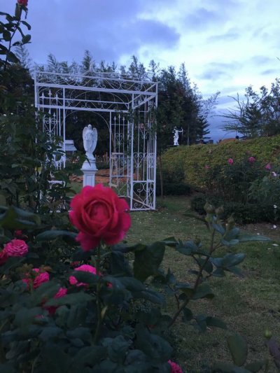 Vin View Rose Garden เขาค้อ เพชรบูรณ์