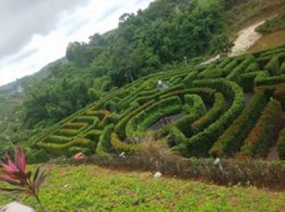 MAZE เขาวงกต เขาค้อ เพชรบูรณ์