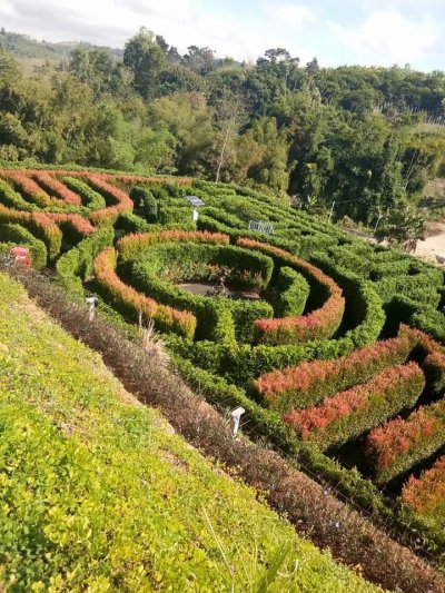 MAZE เขาวงกต เขาค้อ เพชรบูรณ์