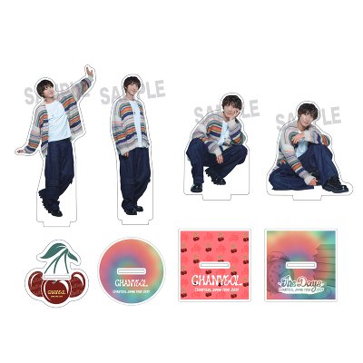 (พรี) CHANYEOL JAPAN TOUR 2025 - The Days MD : ACRYLIC STAND
