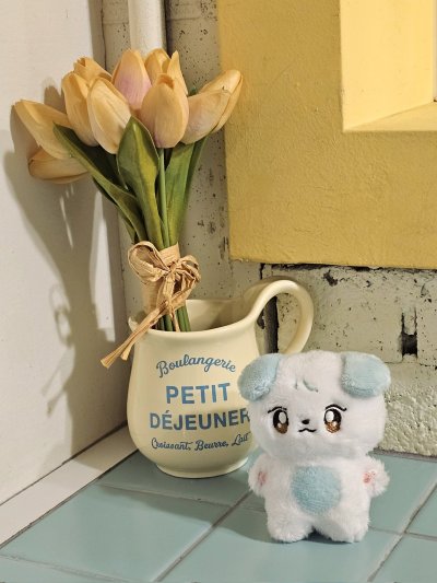 (พรี) BBONYORIE 10 CM.