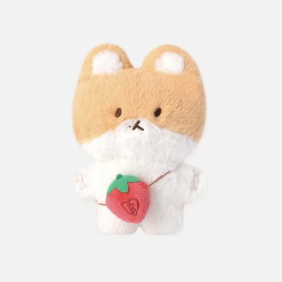 (พร้อมส่ง✨) 20CM&AR VOICE SET - TEOLAEGI