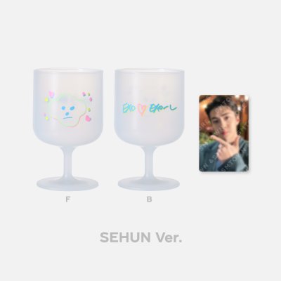 (พร้อมส่ง✨) EXO 11th Anniversary DIY Plastic Wine Cup & Photo Card Set
