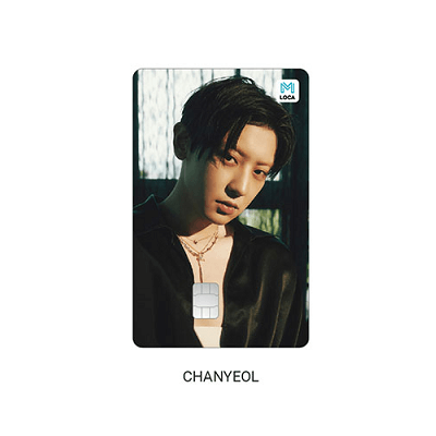 (พร้อมส่ง✨) EXO - LOCAMOBILITY CARD