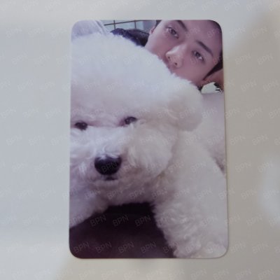 (พร้อมส่ง✨) การ์ด EXO (เซตที่ 5)