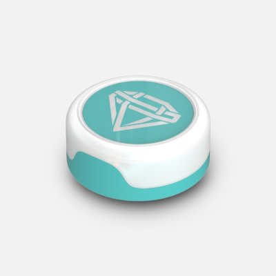 (พรี) OFFICIAL LIGHT TOK - SHINee