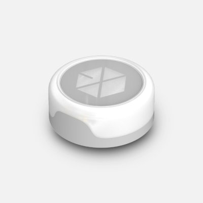(พรี) OFFICIAL LIGHT TOK - EXO