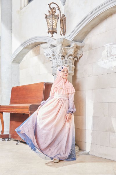 Cinderella Dress Cinderella Dress