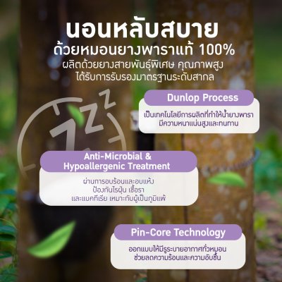 Restime หมอนยางพาราแท้ แบบ Contour รุ่น LUMAREST ลดปวดคอ หลับสบายตลอดคืน Restime หมอนยางพาราแท้ แบบ Contour รุ่น LUMAREST ลดปวดคอ หลับสบายตลอดคืน