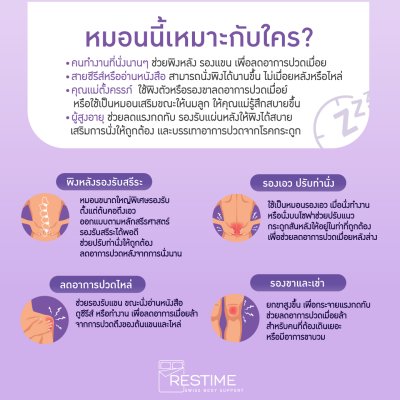 Restime หมอนพิงหลัง รุ่น Lumber Pillow หมอนพิงหลังใบยักษ์ หมอนรองหลัง แก้ปวดหลัง