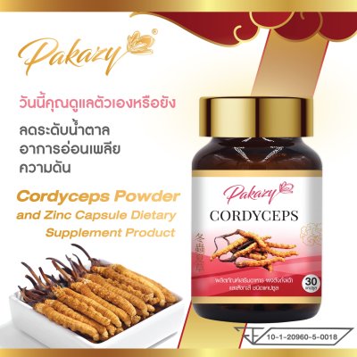 ถั่งเช่า แคปซูล Cordyceps Extract Plus Zinc