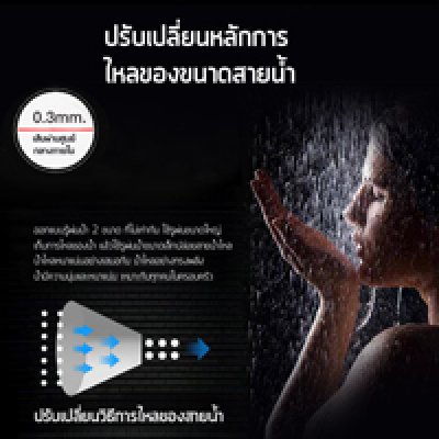 แผงหน้าสแตนเลส สำหรับฝักบัวกรองน้ำ Premium