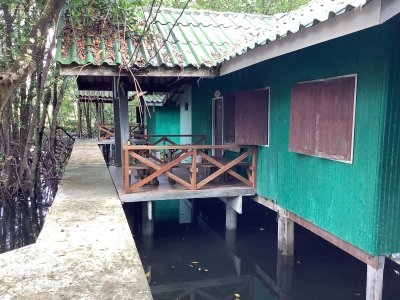 Mangrove Bungalows