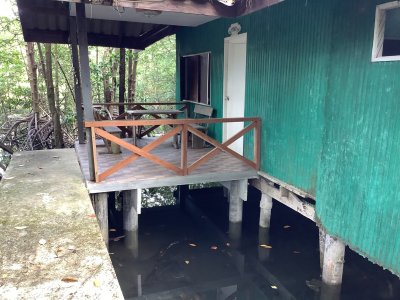 Mangrove Bungalows