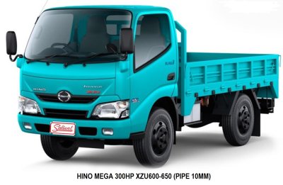 ฮีโน่ XZV600-650 มีท่อหายใจ 10 มม รังผึ้งหนา 36 มิล และ 47 มิล เกียร์ธรรมดา ท่อน้ำเข้า 38 มิล ท่อน้ำออก 42 มิล